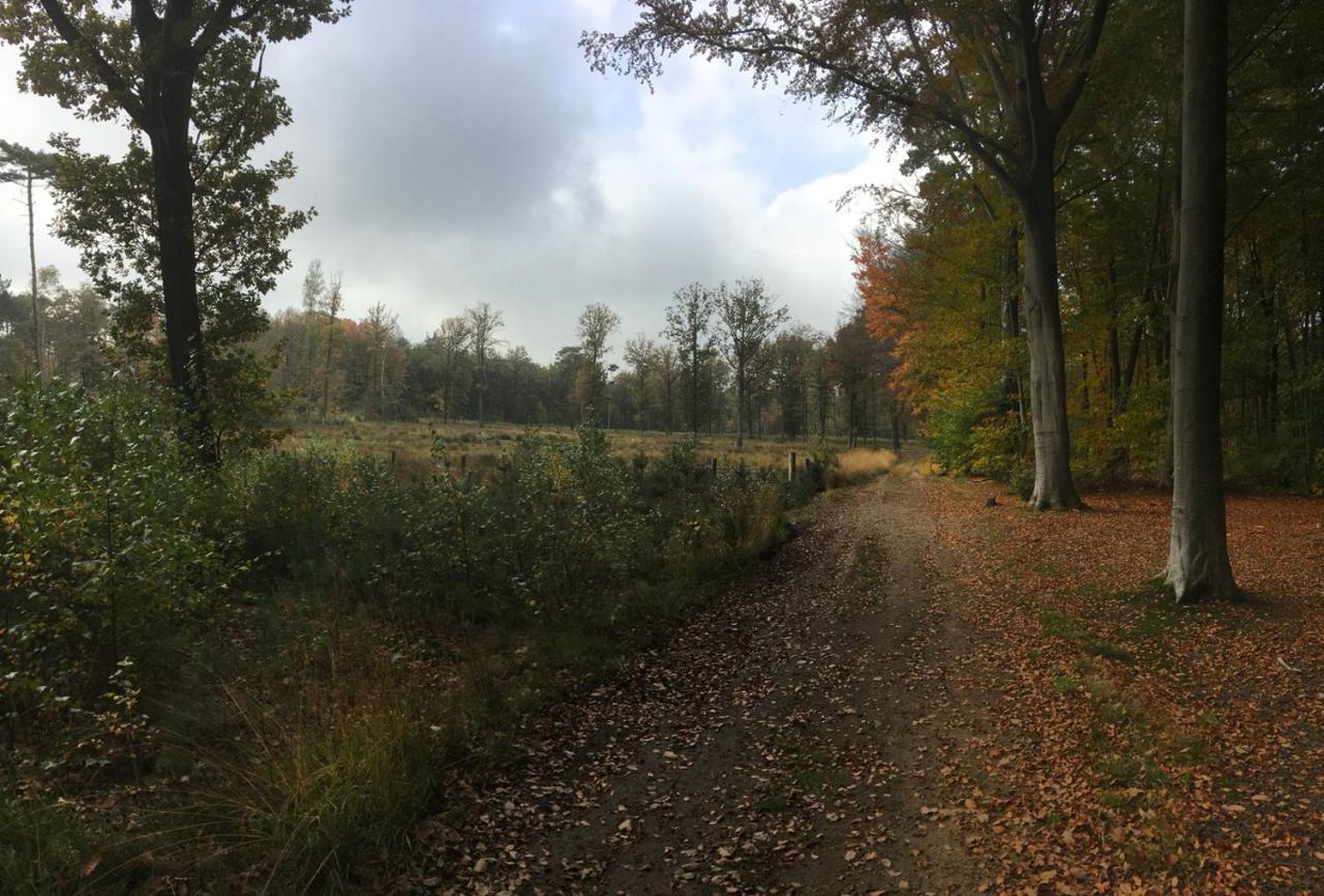 Villa Helena Linden Buitenkant foto